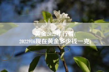 黄金2022年行情(
2022916现在黄金多少钱一克) 黄金2022年行情(
2022916现在黄金多少钱一克)