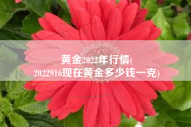 黄金2022年行情(
2022916现在黄金多少钱一克) 黄金2022年行情(
2022916现在黄金多少钱一克)
