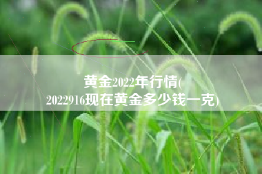 黄金2022年行情(
2022916现在黄金多少钱一克) 黄金2022年行情(
2022916现在黄金多少钱一克)