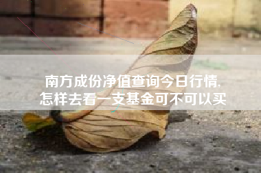 南方成份净值查询今日行情,
怎样去看一支基金可不可以买 南方成份净值查询今日行情,
怎样去看一支基金可不可以买