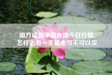 南方成份净值查询今日行情,
怎样去看一支基金可不可以买 南方成份净值查询今日行情,
怎样去看一支基金可不可以买