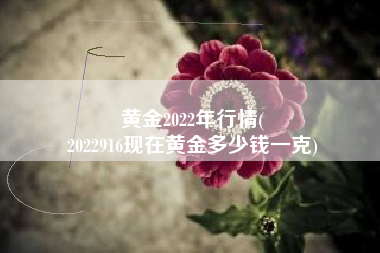黄金2022年行情(
2022916现在黄金多少钱一克) 黄金2022年行情(
2022916现在黄金多少钱一克)