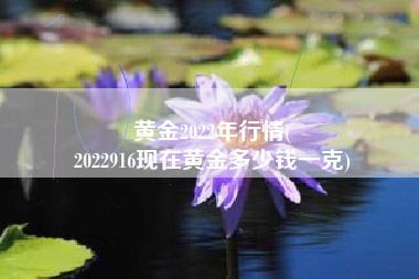 黄金2022年行情(
2022916现在黄金多少钱一克) 黄金2022年行情(
2022916现在黄金多少钱一克)