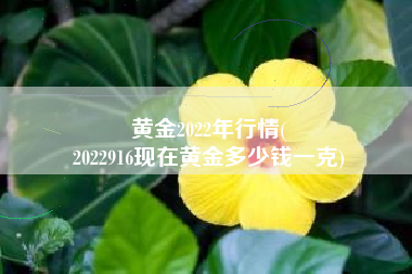 黄金2022年行情(
2022916现在黄金多少钱一克) 黄金2022年行情(
2022916现在黄金多少钱一克)
