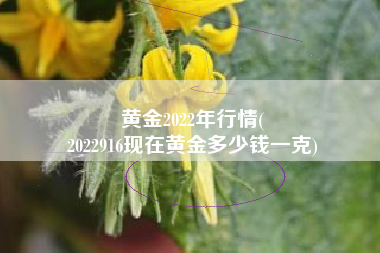 黄金2022年行情(
2022916现在黄金多少钱一克) 黄金2022年行情(
2022916现在黄金多少钱一克)
