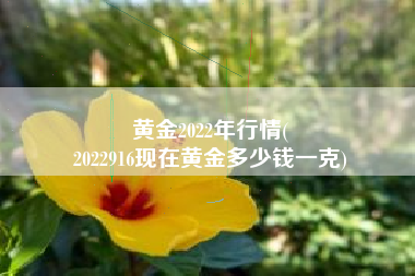 黄金2022年行情(
2022916现在黄金多少钱一克) 黄金2022年行情(
2022916现在黄金多少钱一克)