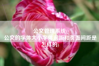 公文管理系统(
公文的字体大小字体间距和页面间距是怎样的) 公文管理系统(
公文的字体大小字体间距和页面间距是怎样的)