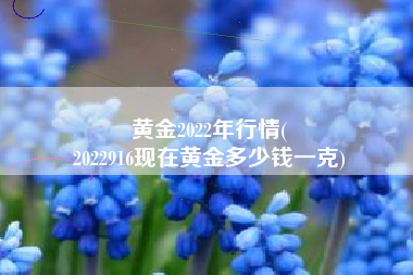 黄金2022年行情(
2022916现在黄金多少钱一克) 黄金2022年行情(
2022916现在黄金多少钱一克)