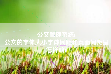 公文管理系统(
公文的字体大小字体间距和页面间距是怎样的) 公文管理系统(
公文的字体大小字体间距和页面间距是怎样的)