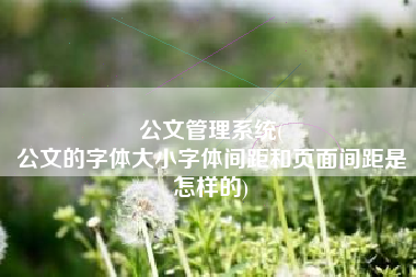 公文管理系统(
公文的字体大小字体间距和页面间距是怎样的) 公文管理系统(
公文的字体大小字体间距和页面间距是怎样的)