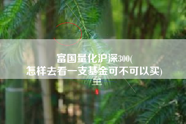 富国量化沪深300(
怎样去看一支基金可不可以买) 富国量化沪深300(
怎样去看一支基金可不可以买)