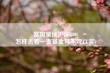 富国量化沪深300(
怎样去看一支基金可不可以买) 富国量化沪深300(
怎样去看一支基金可不可以买)