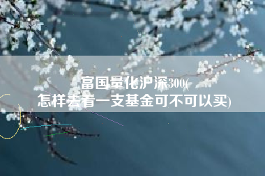 富国量化沪深300(
怎样去看一支基金可不可以买) 富国量化沪深300(
怎样去看一支基金可不可以买)