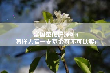 富国量化沪深300(
怎样去看一支基金可不可以买) 富国量化沪深300(
怎样去看一支基金可不可以买)
