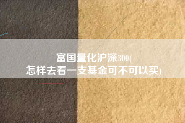 富国量化沪深300(
怎样去看一支基金可不可以买) 富国量化沪深300(
怎样去看一支基金可不可以买)