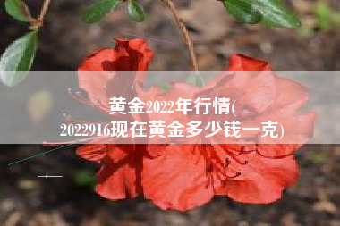 黄金2022年行情(
2022916现在黄金多少钱一克) 黄金2022年行情(
2022916现在黄金多少钱一克)
