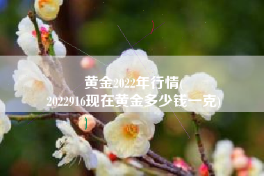 黄金2022年行情(
2022916现在黄金多少钱一克) 黄金2022年行情(
2022916现在黄金多少钱一克)