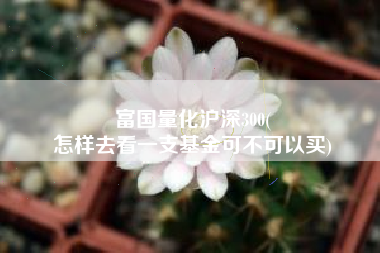 富国量化沪深300(
怎样去看一支基金可不可以买) 富国量化沪深300(
怎样去看一支基金可不可以买)