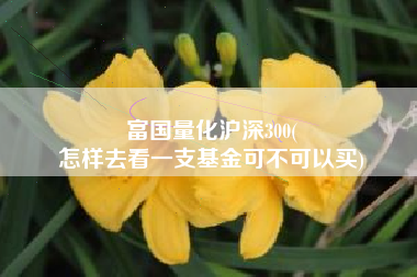 富国量化沪深300(
怎样去看一支基金可不可以买) 富国量化沪深300(
怎样去看一支基金可不可以买)