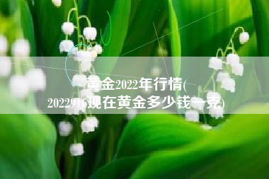 黄金2022年行情(
2022916现在黄金多少钱一克) 黄金2022年行情(
2022916现在黄金多少钱一克)