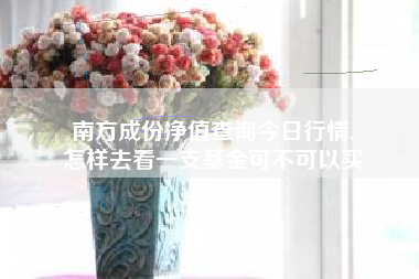 南方成份净值查询今日行情,
怎样去看一支基金可不可以买 南方成份净值查询今日行情,
怎样去看一支基金可不可以买