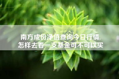 南方成份净值查询今日行情,
怎样去看一支基金可不可以买 南方成份净值查询今日行情,
怎样去看一支基金可不可以买