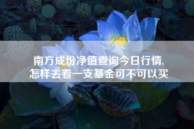 南方成份净值查询今日行情,
怎样去看一支基金可不可以买 南方成份净值查询今日行情,
怎样去看一支基金可不可以买