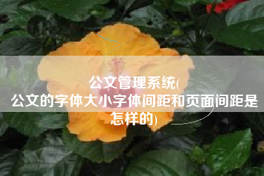 公文管理系统(
公文的字体大小字体间距和页面间距是怎样的) 公文管理系统(
公文的字体大小字体间距和页面间距是怎样的)