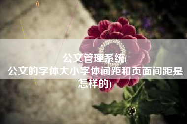 公文管理系统(
公文的字体大小字体间距和页面间距是怎样的) 公文管理系统(
公文的字体大小字体间距和页面间距是怎样的)