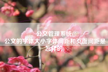 公文管理系统(
公文的字体大小字体间距和页面间距是怎样的) 公文管理系统(
公文的字体大小字体间距和页面间距是怎样的)