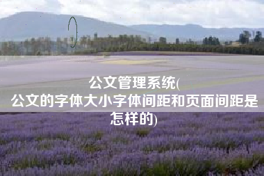 公文管理系统(
公文的字体大小字体间距和页面间距是怎样的) 公文管理系统(
公文的字体大小字体间距和页面间距是怎样的)