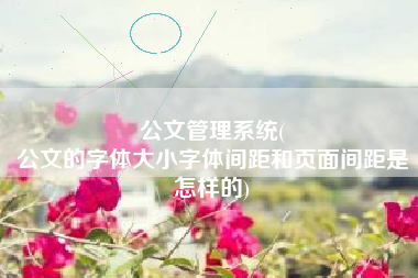 公文管理系统(
公文的字体大小字体间距和页面间距是怎样的) 公文管理系统(
公文的字体大小字体间距和页面间距是怎样的)