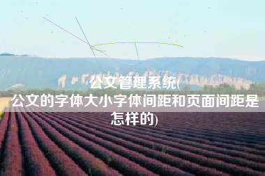 公文管理系统(
公文的字体大小字体间距和页面间距是怎样的) 公文管理系统(
公文的字体大小字体间距和页面间距是怎样的)