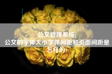 公文管理系统(
公文的字体大小字体间距和页面间距是怎样的) 公文管理系统(
公文的字体大小字体间距和页面间距是怎样的)