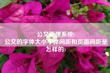 公文管理系统(
公文的字体大小字体间距和页面间距是怎样的) 公文管理系统(
公文的字体大小字体间距和页面间距是怎样的)