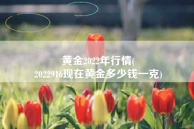 黄金2022年行情(
2022916现在黄金多少钱一克) 黄金2022年行情(
2022916现在黄金多少钱一克)