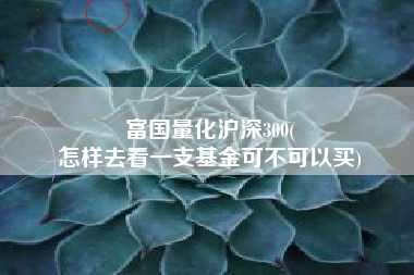 富国量化沪深300(
怎样去看一支基金可不可以买) 富国量化沪深300(
怎样去看一支基金可不可以买)
