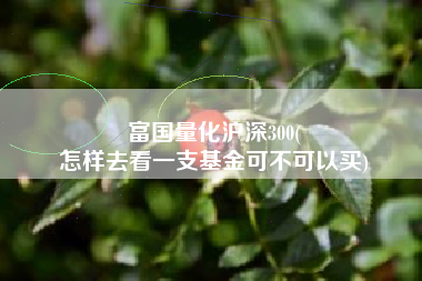 富国量化沪深300(
怎样去看一支基金可不可以买) 富国量化沪深300(
怎样去看一支基金可不可以买)