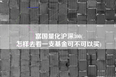 富国量化沪深300(
怎样去看一支基金可不可以买) 富国量化沪深300(
怎样去看一支基金可不可以买)