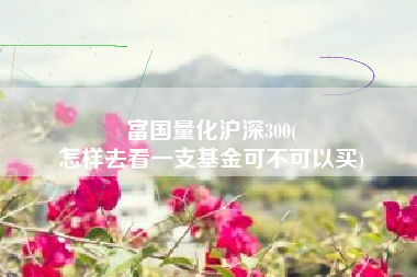富国量化沪深300(
怎样去看一支基金可不可以买) 富国量化沪深300(
怎样去看一支基金可不可以买)