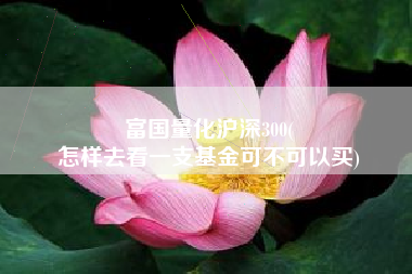 富国量化沪深300(
怎样去看一支基金可不可以买) 富国量化沪深300(
怎样去看一支基金可不可以买)