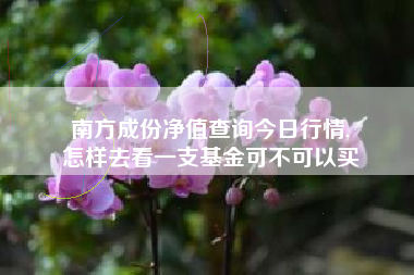 南方成份净值查询今日行情,
怎样去看一支基金可不可以买 南方成份净值查询今日行情,
怎样去看一支基金可不可以买