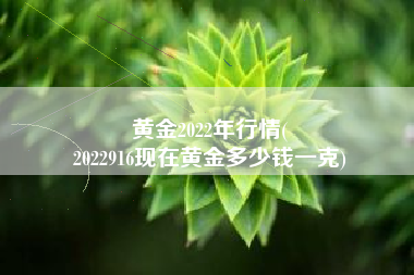 黄金2022年行情(
2022916现在黄金多少钱一克) 黄金2022年行情(
2022916现在黄金多少钱一克)