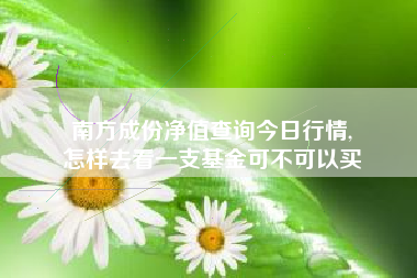 南方成份净值查询今日行情,
怎样去看一支基金可不可以买 南方成份净值查询今日行情,
怎样去看一支基金可不可以买