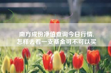 南方成份净值查询今日行情,
怎样去看一支基金可不可以买 南方成份净值查询今日行情,
怎样去看一支基金可不可以买