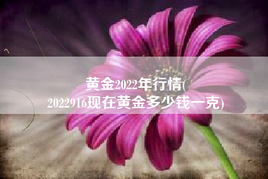 黄金2022年行情(
2022916现在黄金多少钱一克) 黄金2022年行情(
2022916现在黄金多少钱一克)