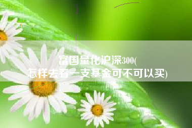 富国量化沪深300(
怎样去看一支基金可不可以买) 富国量化沪深300(
怎样去看一支基金可不可以买)