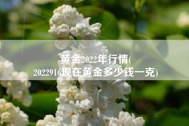 黄金2022年行情(
2022916现在黄金多少钱一克) 黄金2022年行情(
2022916现在黄金多少钱一克)