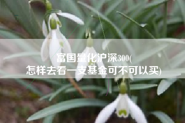 富国量化沪深300(
怎样去看一支基金可不可以买) 富国量化沪深300(
怎样去看一支基金可不可以买)