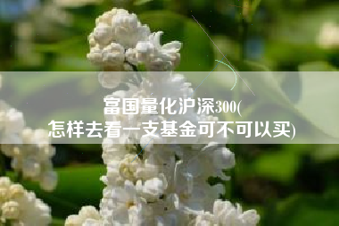 富国量化沪深300(
怎样去看一支基金可不可以买) 富国量化沪深300(
怎样去看一支基金可不可以买)
